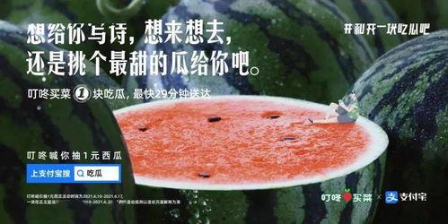 免费吃瓜文案怎么写,揭秘娱乐圈幕后故事 第1张 免费吃瓜文案怎么写,揭秘娱乐圈幕后故事 第1张